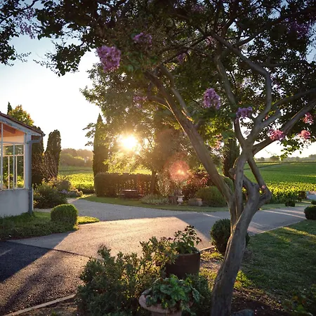 Pres De Saint-emilion Maison De Vigneron Au Coeur Des Vignes Vakantiehuis Montagne (Gironde)