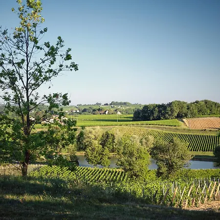 Pres De Saint-emilion Maison De Vigneron Au Coeur Des Vignes Feriehus