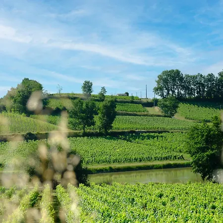 Pres De Saint-emilion Maison De Vigneron Au Coeur Des Vignes Vakantiehuis Montagne (Gironde)