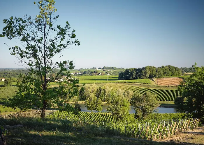 Pres De Saint-emilion Maison De Vigneron Au Coeur Des Vignes Vakantiehuis