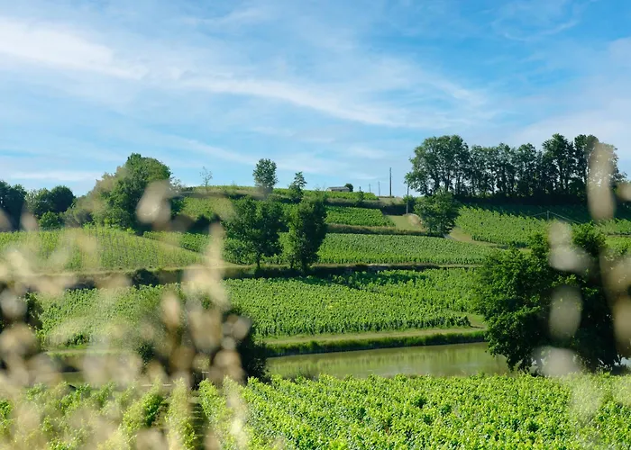 Pres De Saint-emilion Maison De Vigneron Au Coeur Des Vignes Vakantiehuis Montagne (Gironde)